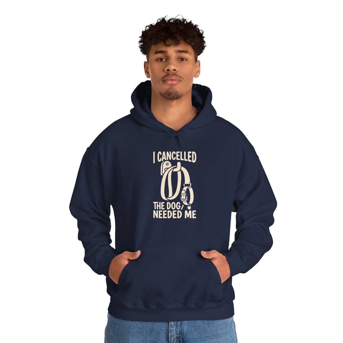 I Cancelled Plans Hoodie — Introvert Cat Graphic Pullover